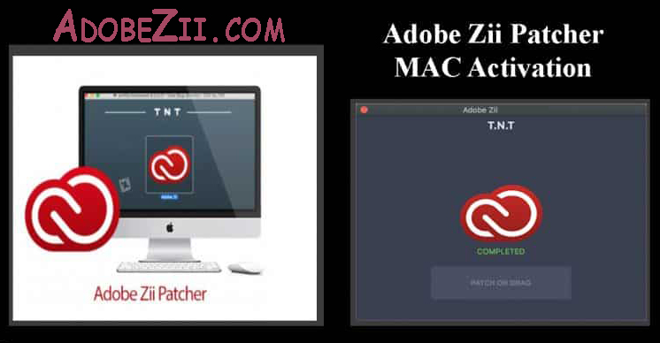 Adobe Zii Mac Download